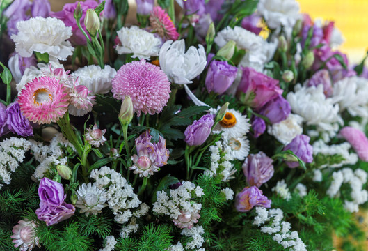 五台山寺庙鲜花清明节菊花