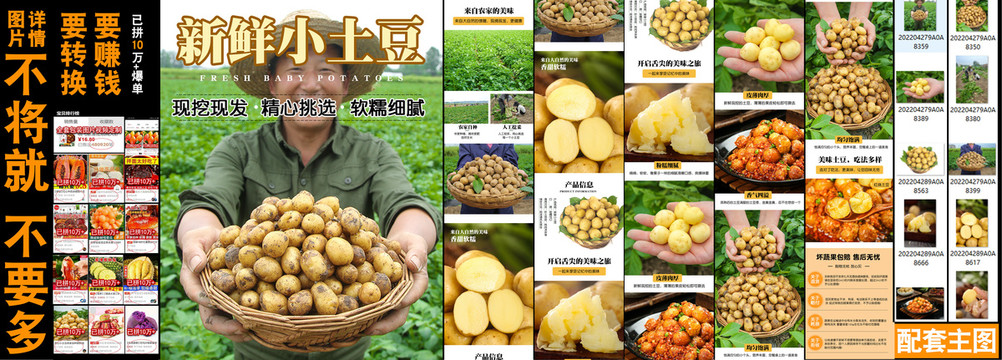 新鮮小土豆詳情