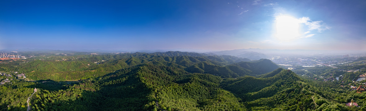 南山森林公园