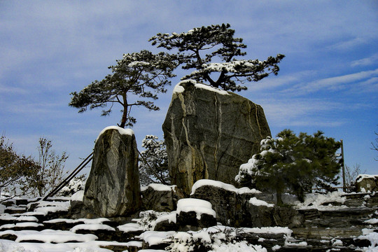 黄山雪景