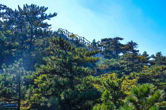 大别山国家地质公园天堂寨景区