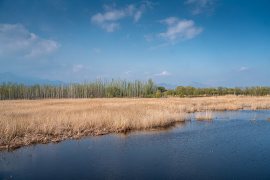 北京野鸭湖