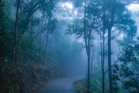 雾天山路