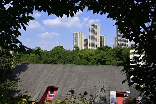 城市的天空