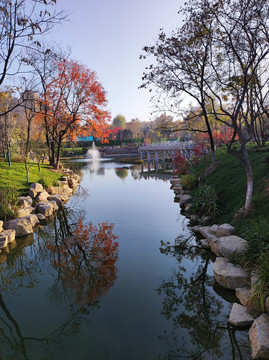 园林风景