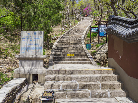 青岛琅玡台