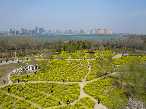 青岛唐岛湾国家湿地公园