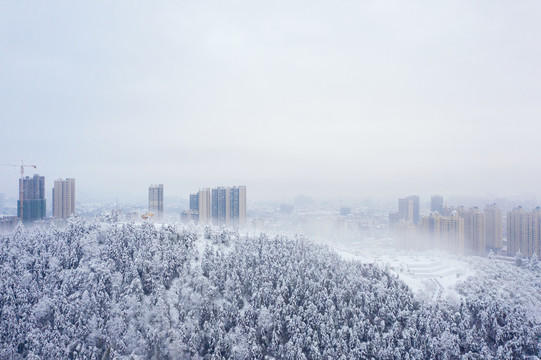 城市雪景