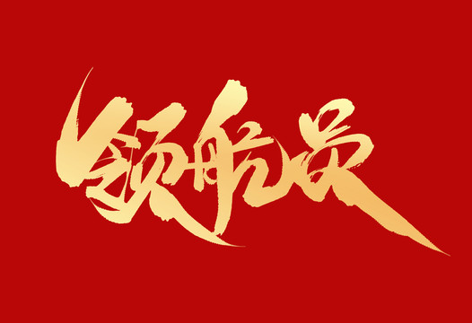 領(lǐng)航員