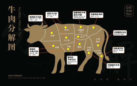 牛肉部位分解圖