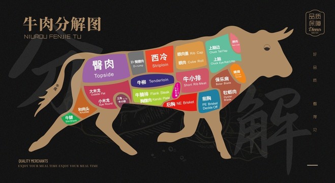 牛肉部位分解圖