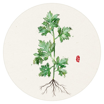 手繪艾草