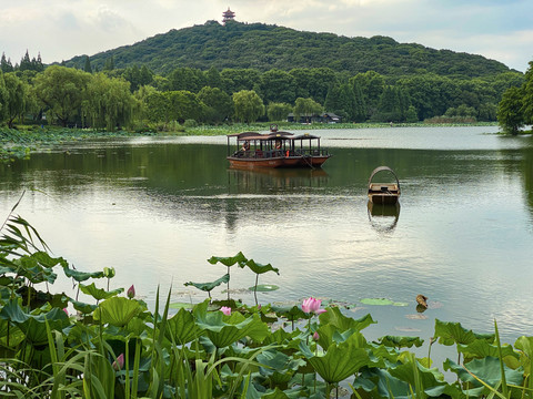 荷塘小船美景