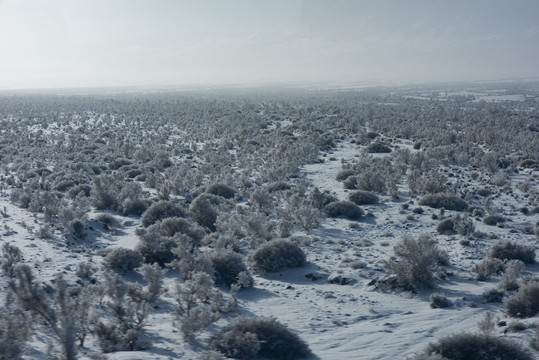 雪山