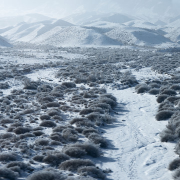 雪山