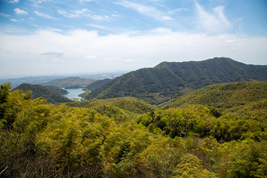 青山绿水