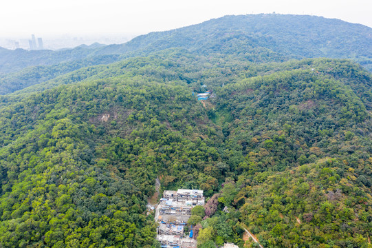 航拍广州白云山风景区鸣春谷