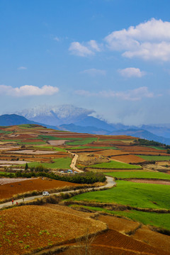 东川红土地