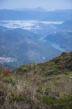 瑞安市山峰山地