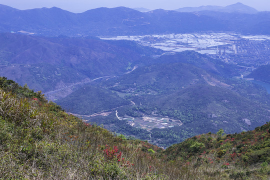 瑞安市山峰山地