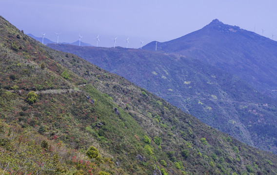 瑞安市山峰山地