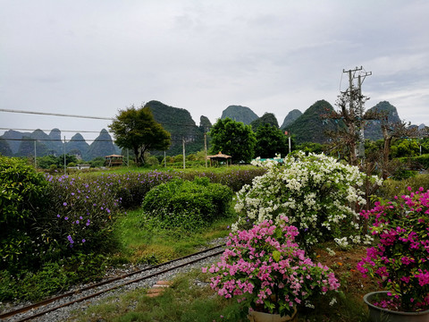 生态农村