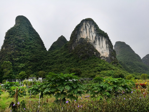 山脚田园