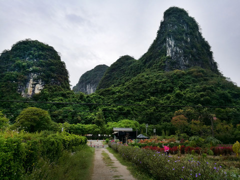 山腳田園