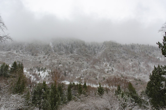 高原雪山