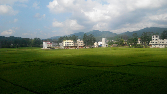 田园田野风景