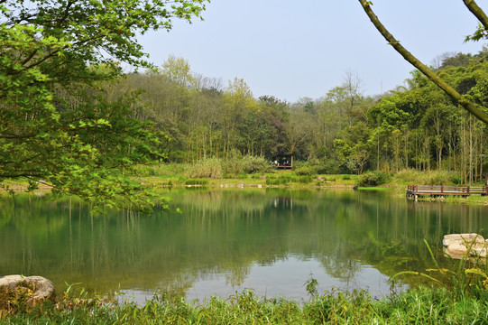 广阳岛生态湖畔