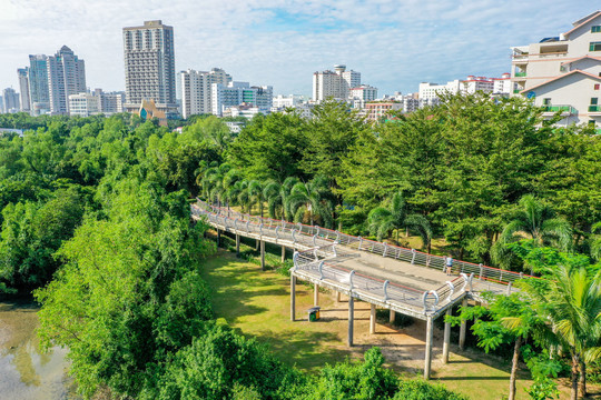 航拍海南三亚河畔红树林公园