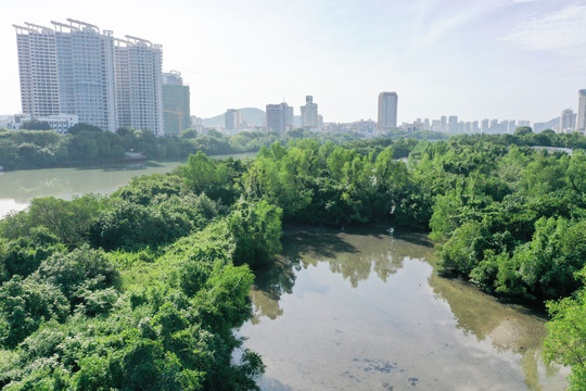 航拍海南三亚河畔红树林公园