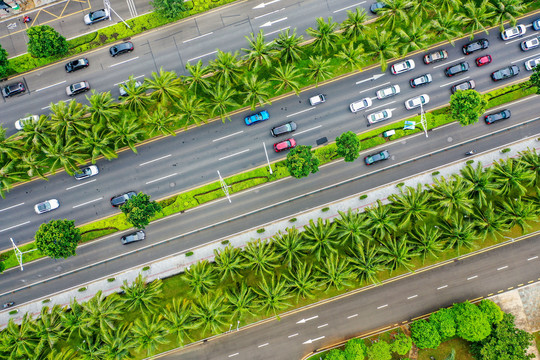 航拍海口国兴大道道路及行道树