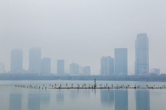 雾气中的南京玄武湖公园