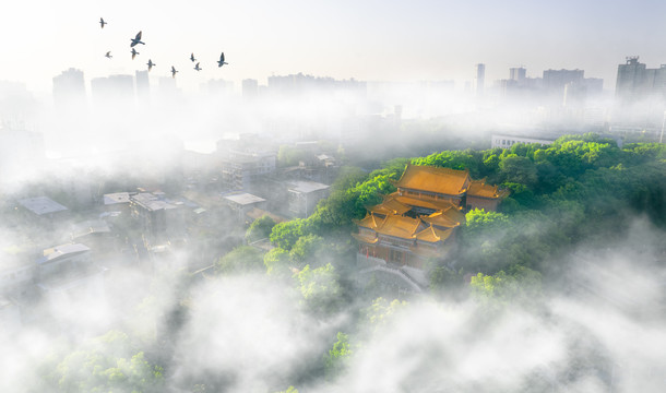 湖南省衡阳市雁峰寺航拍