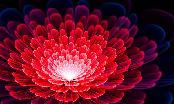 花盛開