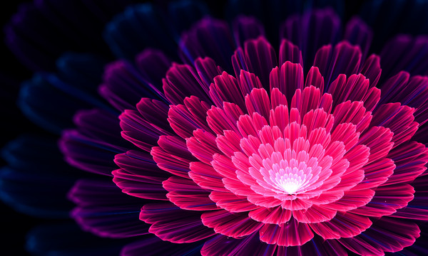 花開