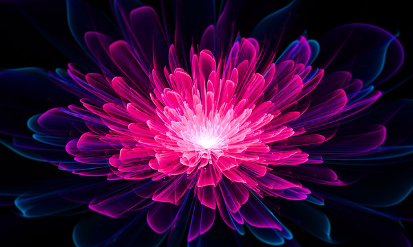 夢(mèng)幻花