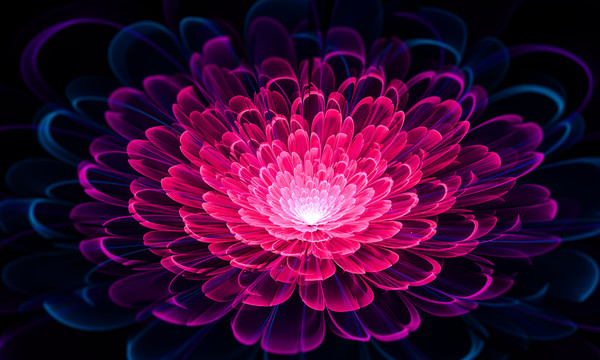花開