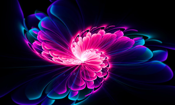 絢麗抽象花