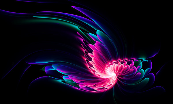 創(chuàng)意花卉