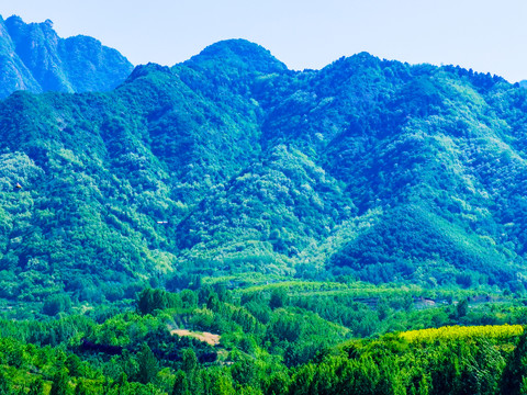 秦岭山脉牛背梁