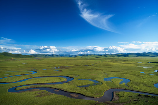 曼扎塘湿地