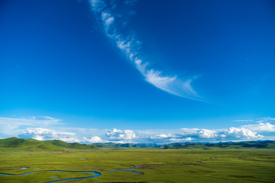 曼扎塘湿地