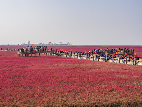 盘锦红海滩国家风景廊道