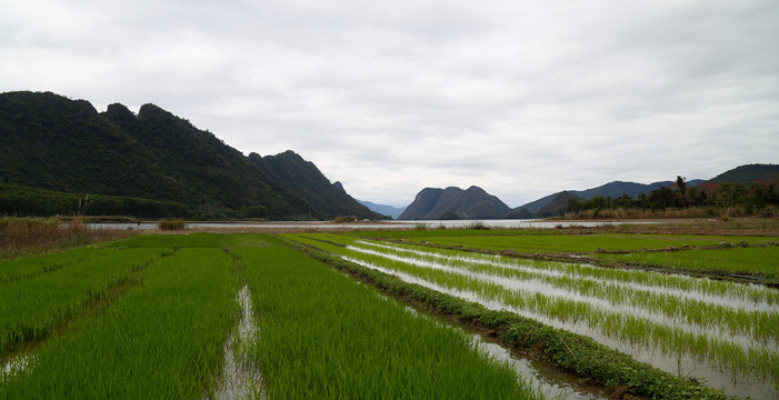 海南俄贤岭