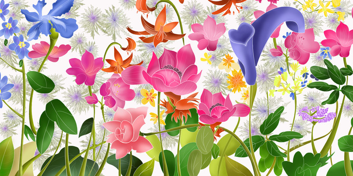 鮮花花朵插畫