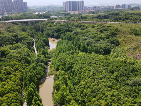 九曲河湿地公园