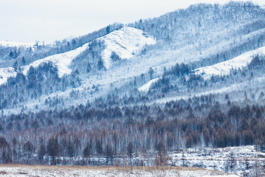 冬季森林雪山积雪